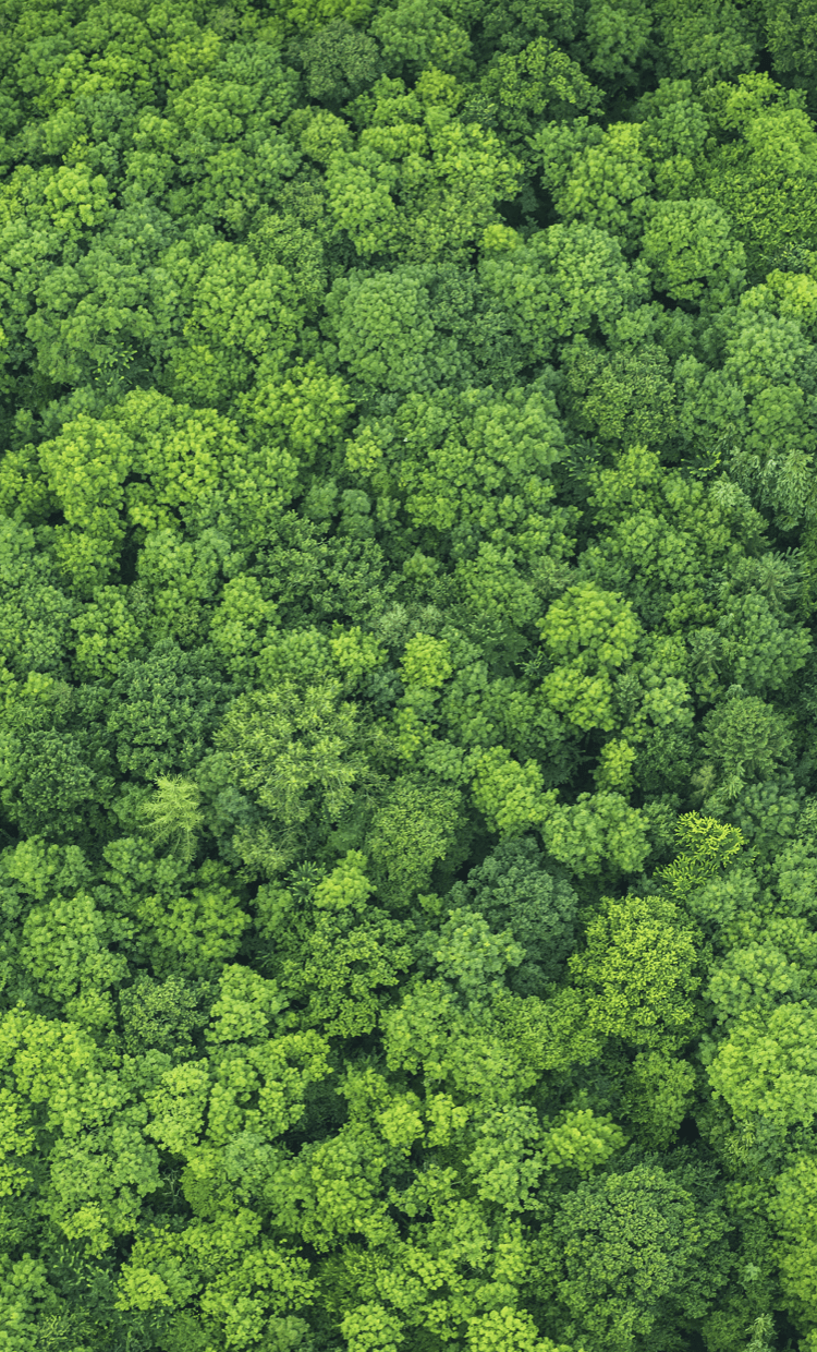 ����-���α��������������������