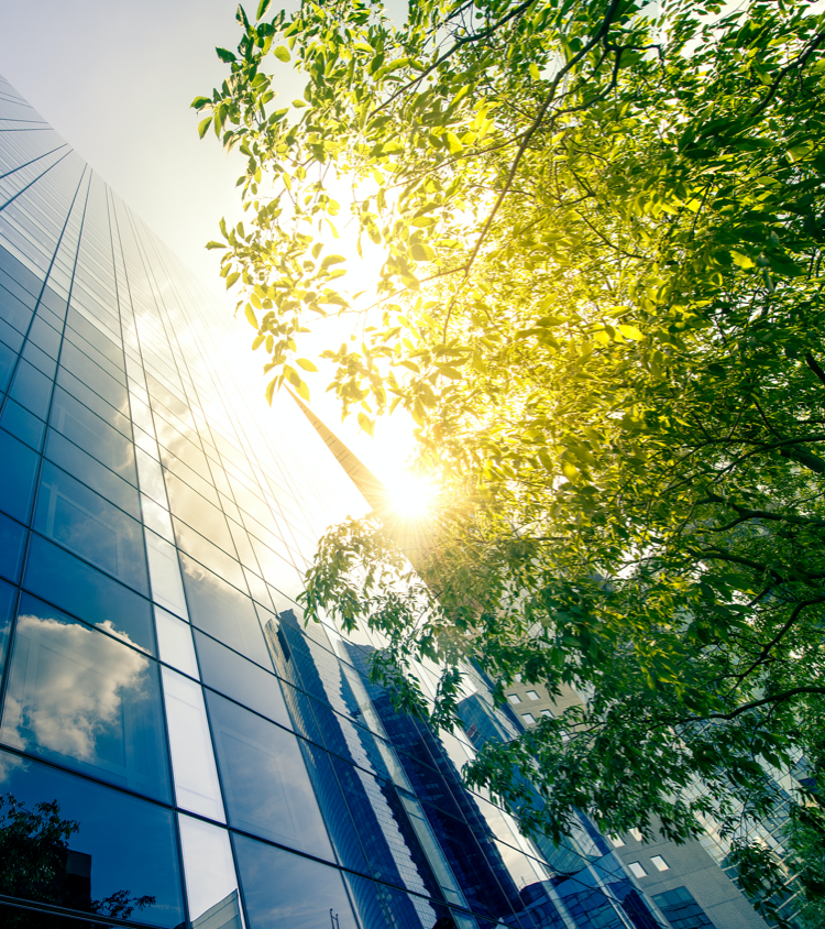 ¹«Ë¾ÖÎÀí|˽ļͶ×Ê»ù½ðÖÎÀí¹«Ë¾|¹©Ó¦Á´½ðÈÚ½â¾ö¼Æ»®