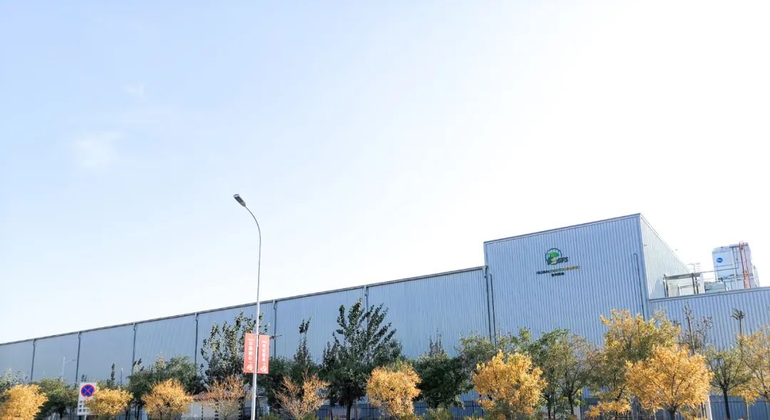 ���Ǽ��Ź���