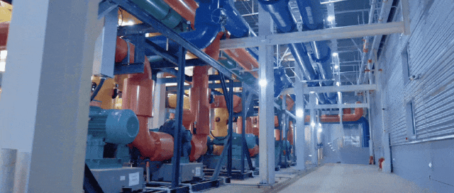 ���Ǽ��Ź���